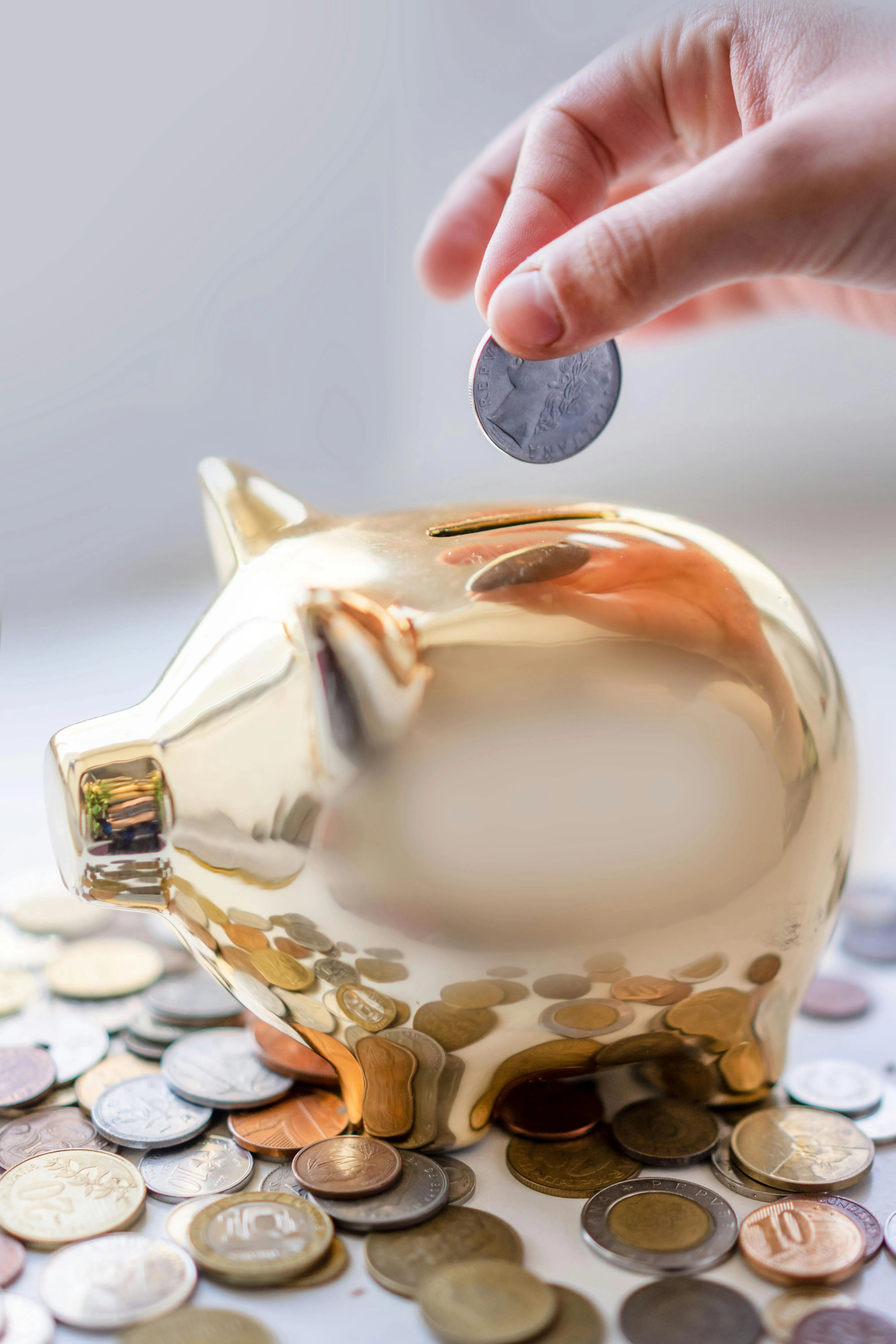 A golden piggy bank