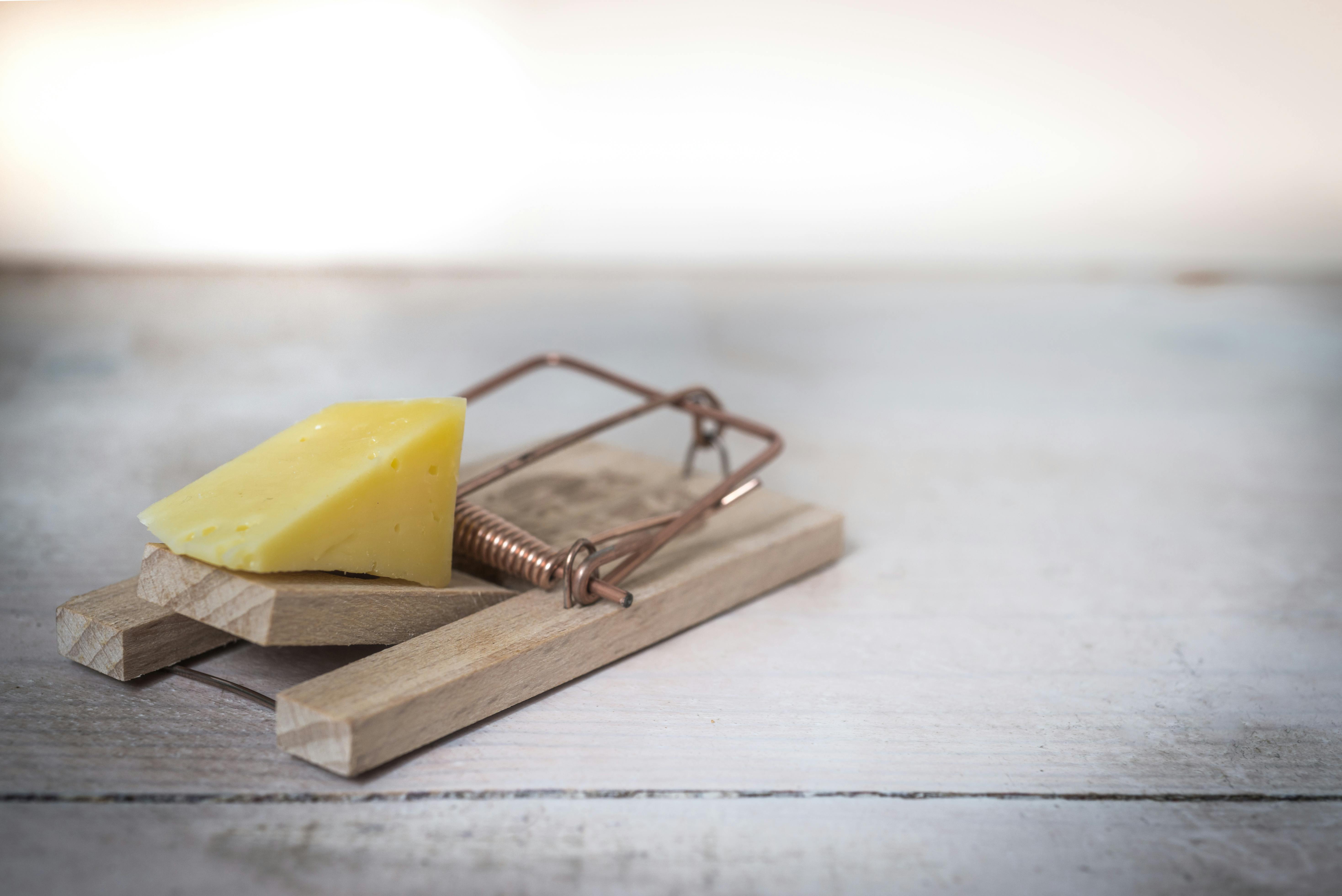 A mousetrap with cheese as bait